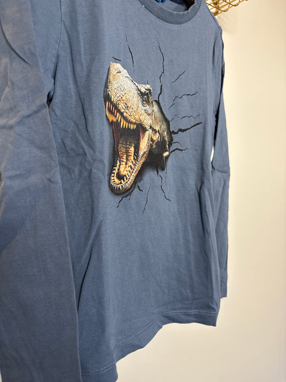 Longsleeve someone