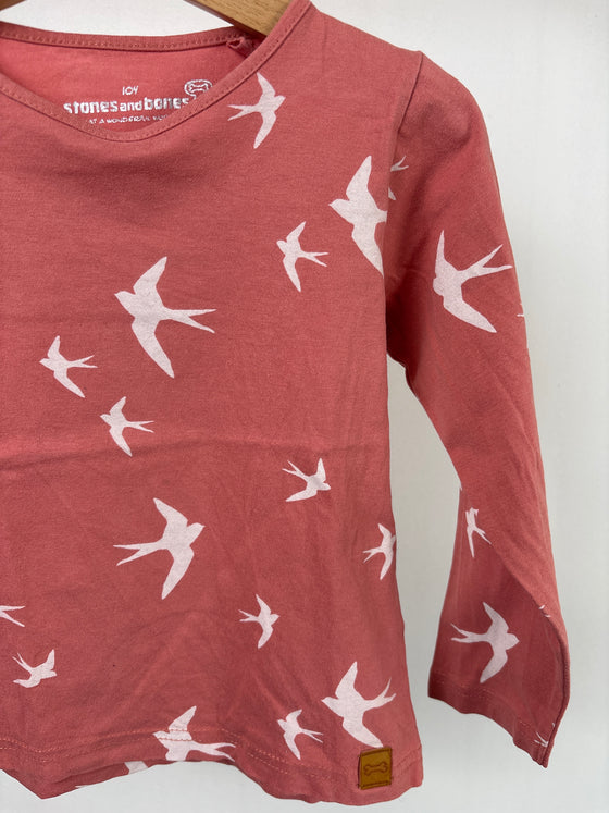 Longsleeve stones & bones